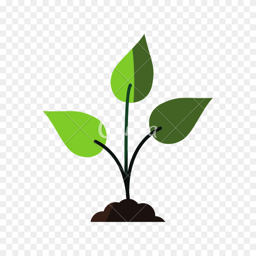 800x800 Seedling Plant Icon Image - Seedling PNG