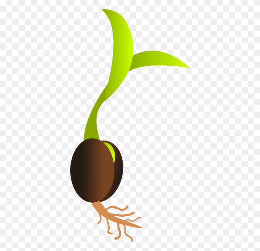 386x750 Seedling Sprouting Plant Seed Germination - Seedling Clipart