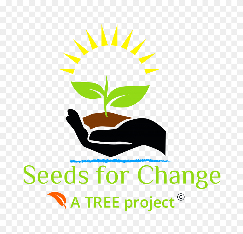 5000x4797 Seeds For Change An Environmental Justice Program - Seeds PNG