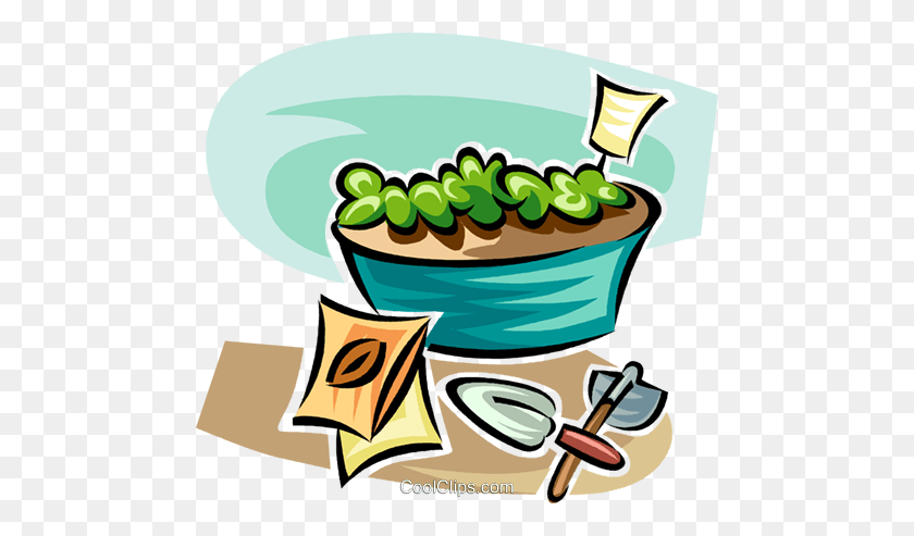 480x433 Seeds Growing Into Plants Royalty Free Vector Clip Art - Seed Growing Clipart