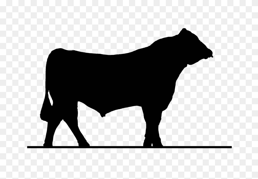 700x524 Select Sires Value - Beef Cow Clipart