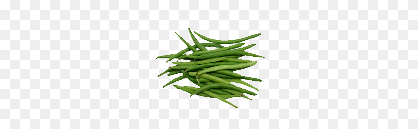 233x200 Sell Green Beans Serbia - Green Beans PNG