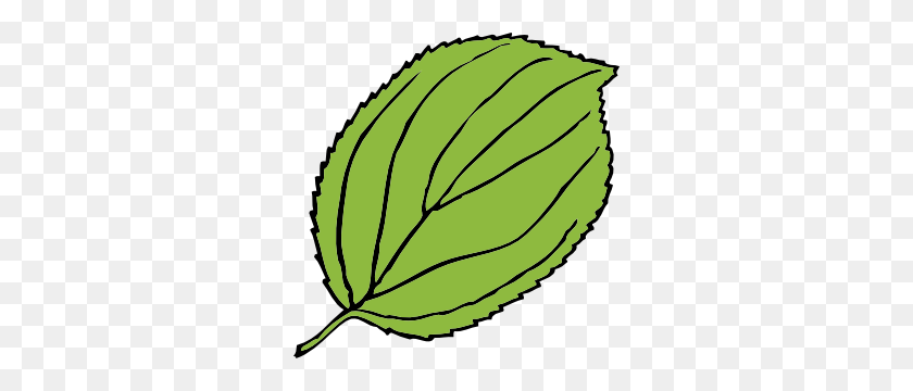 300x300 Serrate Leaf Clip Art - Rainforest Clipart