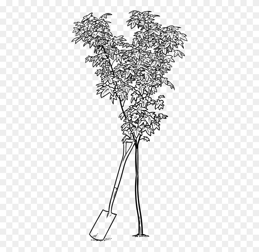 2425x2353 Services - Tree Sketch PNG