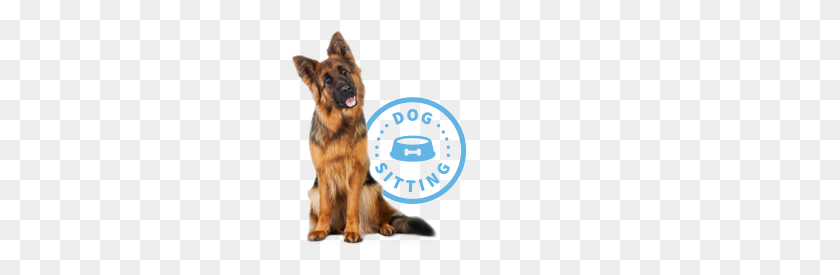 260x215 Services Fairytails Pet Sitting Dog Walking San Antonio - Dog Sitting PNG