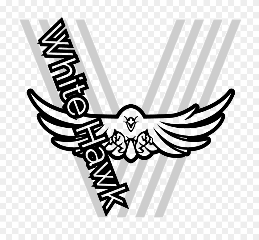 778x720 Services White Hawk Videography - Videography Clipart