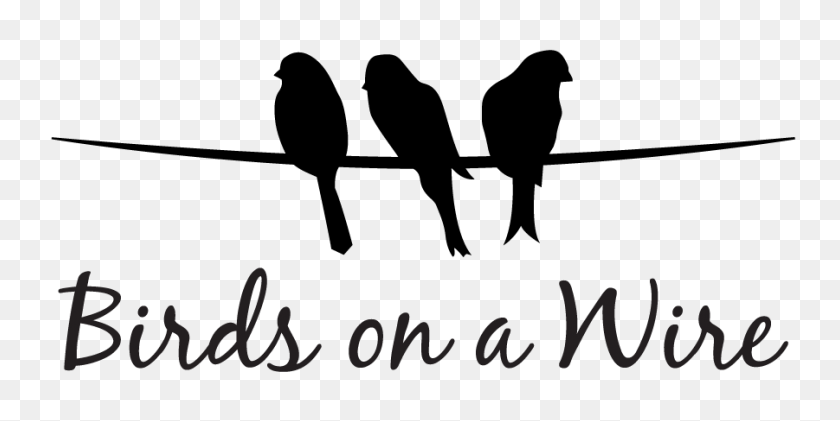 901x418 Serving The Heart Of Mothers Birds On A Wire Is A Ministry That - Motherhood Clipart