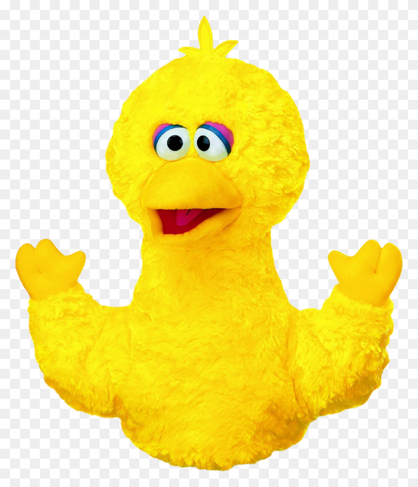 1077x1267 Sesame Street Hand Puppet Gund Big Bird Hand Puppet Cultcha - Big Bird PNG