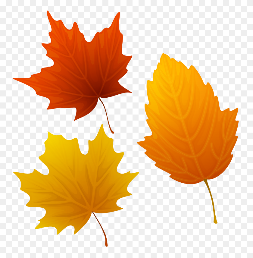 6148x6275 Set Of Autumn Leaves Clipart Png - Elf Hat PNG