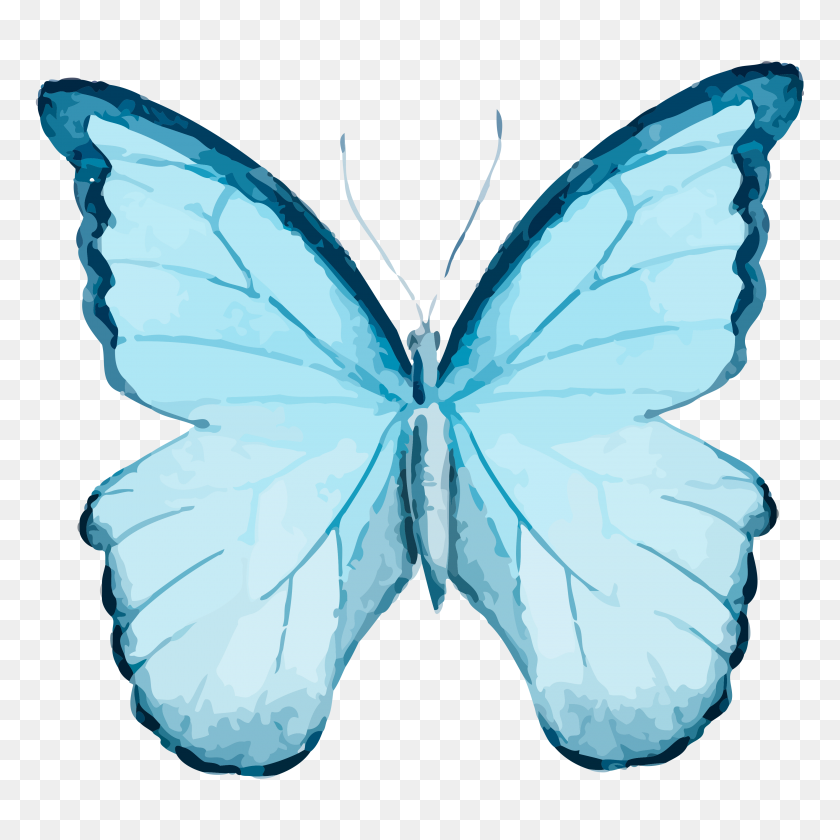 3600x3600 Set Of Free Butterfly Clipart Cu Ok! - Free Butterfly Clipart