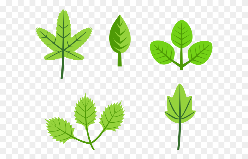 600x478 Set Of Leaves Png Clip Arts For Web - Green Leaves PNG