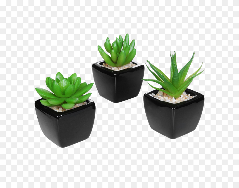 600x600 Set Of Modern Home Decor Mini Succulent Artificial Plants Walden - Succulent PNG