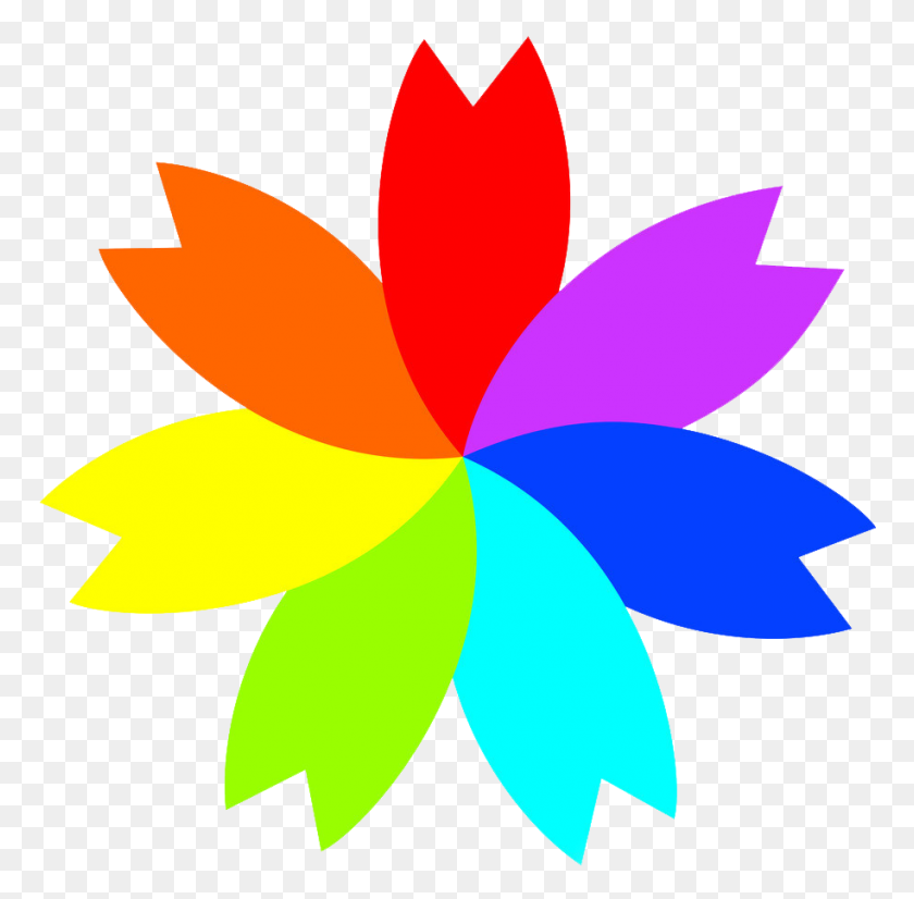 914x898 Seven Colors - Petals PNG
