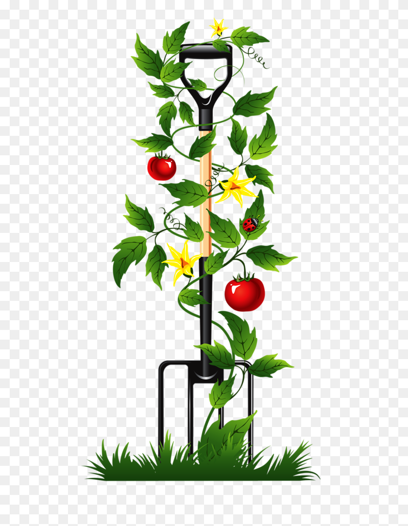 507x1024 Sewing - Tomato Plant Clipart