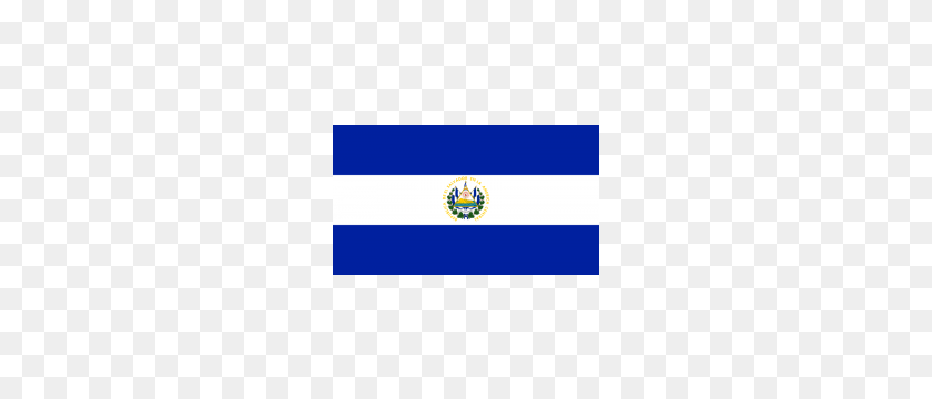 240x300 Sewn Courtesy Flag El Salvador Courtesy Flag J W Plant - El Salvador Flag PNG