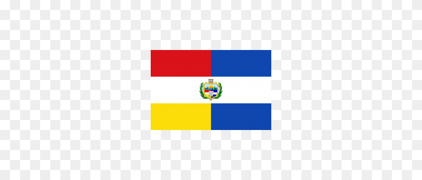 240x300 Cosida De La Bandera De Cortesía Del Estado De Guatemala Bandera De Cortesía De Jw Plant - Bandera De Guatemala Png