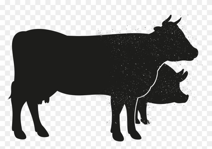 1000x682 Shadow Clipart Cow - Steer Clipart