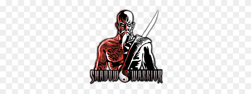 256x256 Shadow Warrior Png Transparent Images - Warrior PNG
