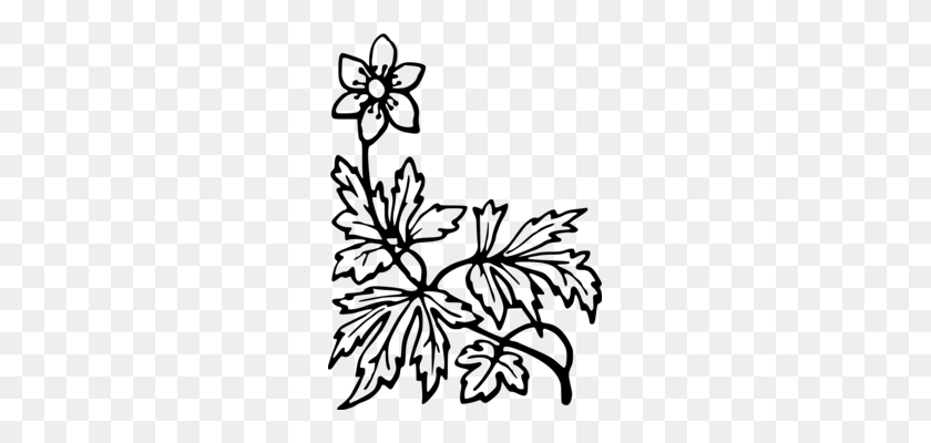 247x340 Shamrock Four Leaf Clover Drawing Luck - Four Leaf Clover Clip Art Black And White