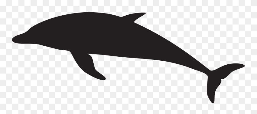 8000x3210 Shaow Clipart Dolphin - Clipart De Cola De Sirena En Blanco Y Negro