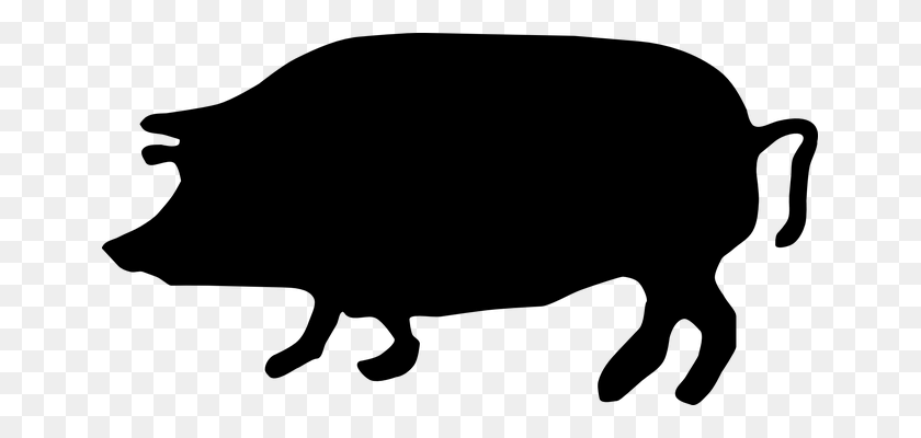 653x340 Shaow Clipart Pig - Mostrar Imágenes Prediseñadas De Cerdo