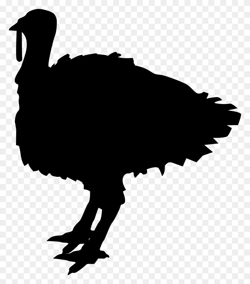 2087x2400 Formas Clipart Pavo - Clipart De Cabeza De Pavo