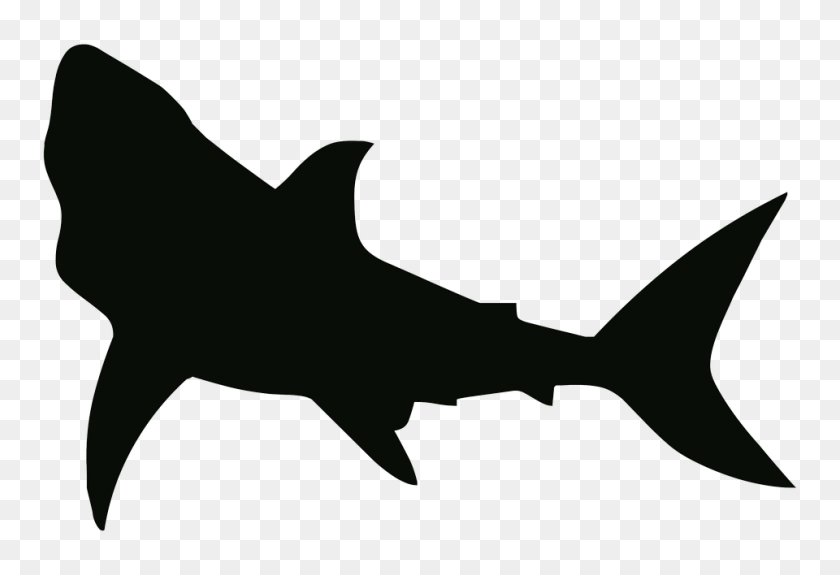 960x634 Shark Black And White - Shark Clipart Transparent