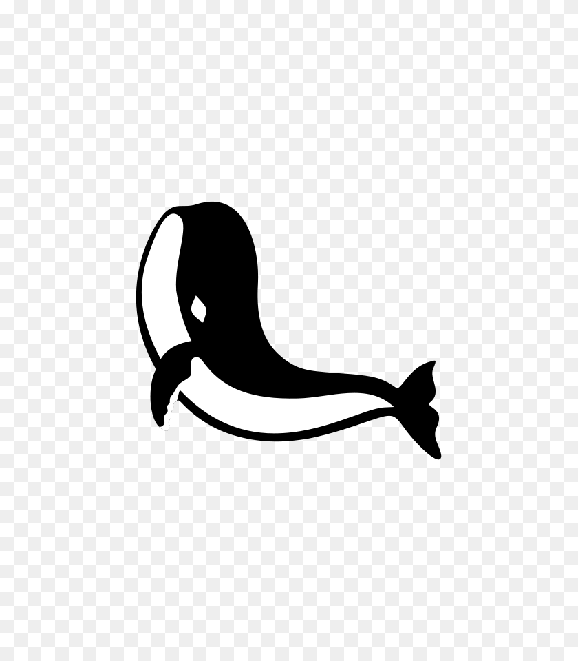 637x900 Акула Картинки - Акула Рот Клипарт