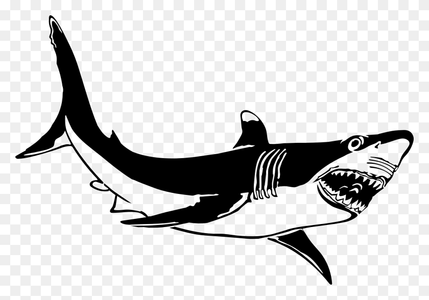 1979x1341 Shark Clip Art Black And White - Shark Images Clipart
