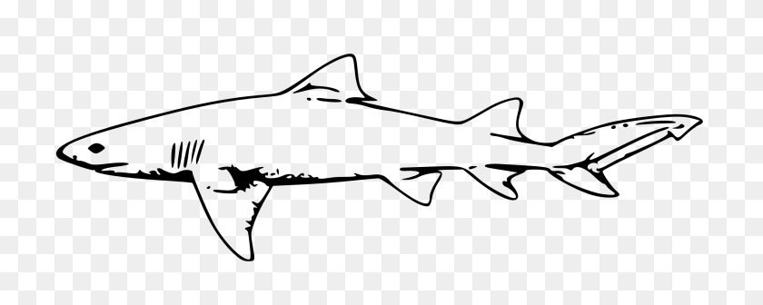 2555x907 Shark Clip Art Black And White - Fish Outline Clipart Black And White