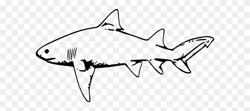 600x313 Shark Clipart Black And White - X Ray Clipart Black And White