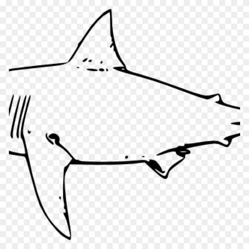 1024x1024 Shark Clipart Black And White Free Clipart Download - Shark Black And White Clipart