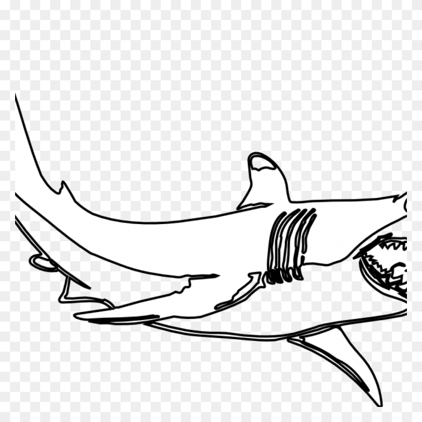 1024x1024 Черно-Белый Клипарт С Акулами Скачать Бесплатно - Акулы Клипарт