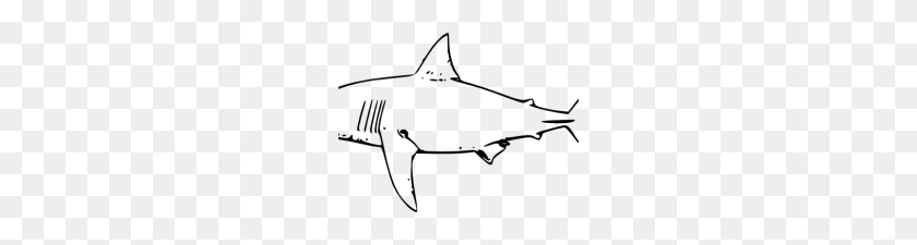 220x165 Shark Clipart Black And White Shark Clip Art Black And White - Shark Black And White Clipart