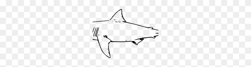220x165 Акулы Клипарт Черно-Белые Картинки С Акулами Черно-Белые - Бесплатный Клипарт С Акулами