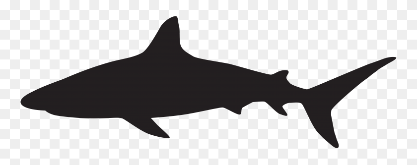 8000x2808 Shark Clipart Black Clip Art Images - Pencil Clipart Transparent