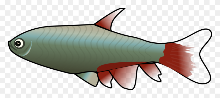 835x340 Shark Clipart Free Download - Tropical Fish PNG