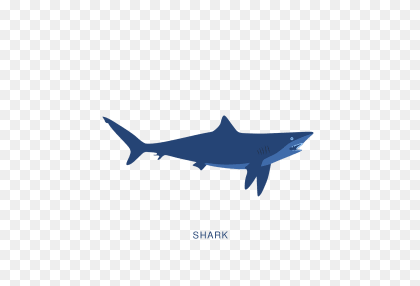 512x512 Tiburón Pez De Pesca De Animales - Aleta De Tiburón Png