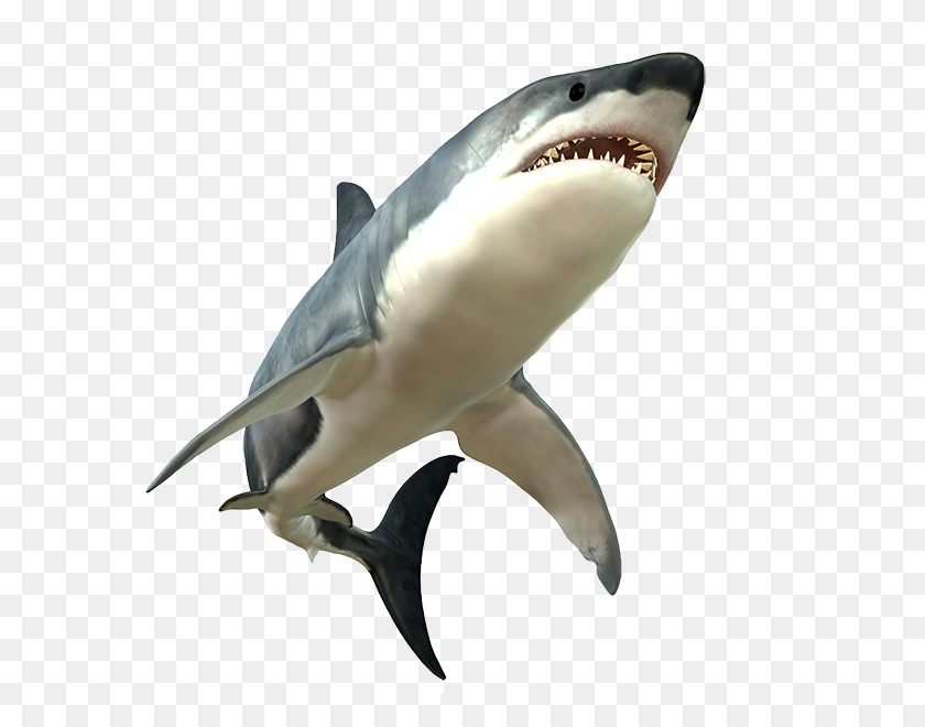600x600 Shark Jumping Out Of Water Png - Fish Jumping Out Of Water PNG