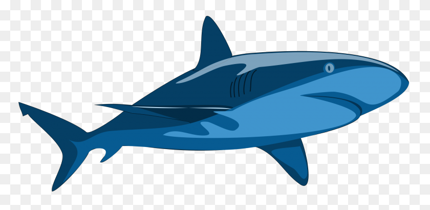 2400x1079 Tiburón Puro Iconos Png - Stingray Png
