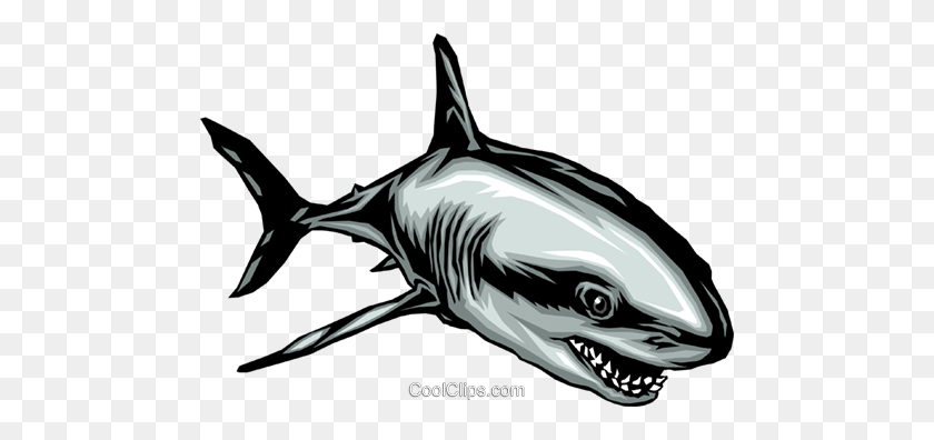 480x336 Tiburón Libre De Regalías Vector Clipart Ilustración - Aleta De Tiburón Clipart