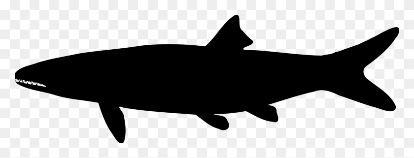 2239x750 Tiburón De La Silueta De Dibujo De Iconos De Equipo Negro - La Silueta De Los Peces Png