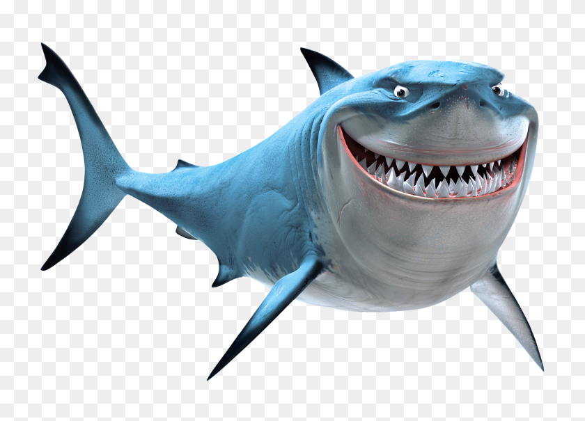 1596x1116 Shark Teeth Are Rather Fascinating Saskatoon Sk Dentist - Shark Teeth PNG