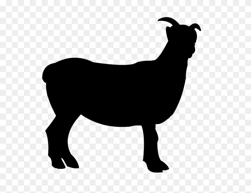 800x600 Sheep Boer Goat Clip Art - Free Goat Clipart