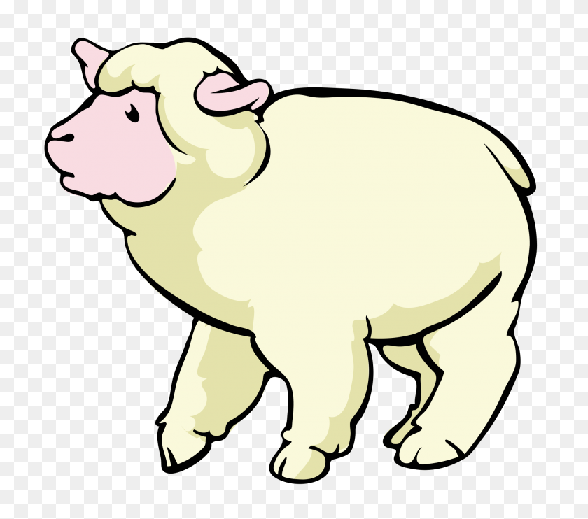 2000x1751 Sheep Cartoon - Sheep PNG