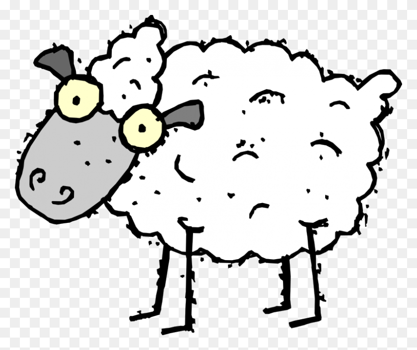 800x662 Sheep Pictures Free - Charlottes Web Clipart
