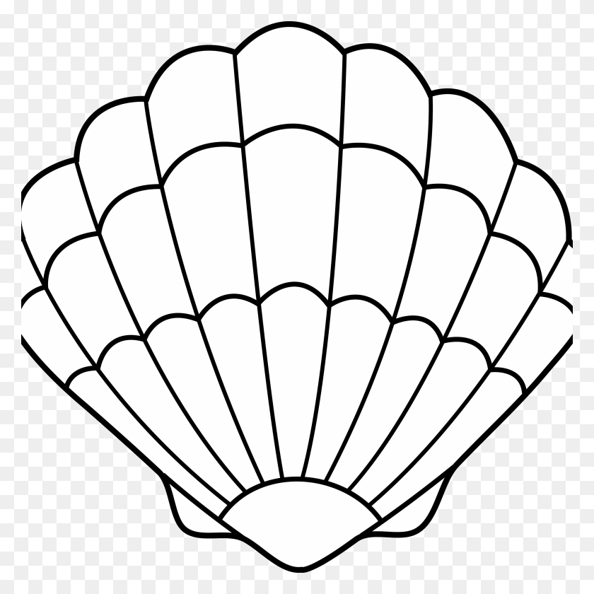 3000x3000 Shell Clipart - Shell PNG