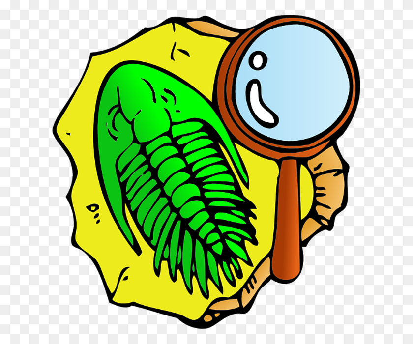 628x640 Shell Clipart Fish Fossil - Shell Clipart