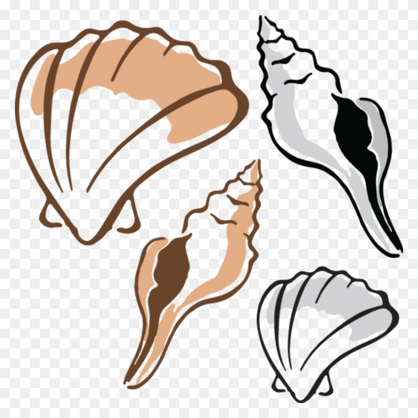 1024x1024 Shell Clipart Free Clipart Download - Shell Clipart