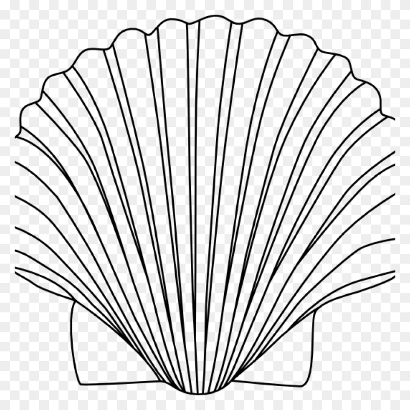 1024x1024 Shell Clipart Free Clipart Download - Shell Clipart Black And White